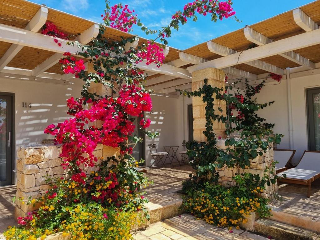 Masseria Baroni Di Montesardo Lido Marini Bagian luar foto